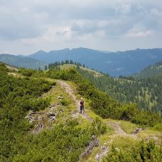 Trailrunning-Tour über Brünstelkopf und Felderkopf