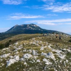 Wettkampfbericht: Učka Trail 2018